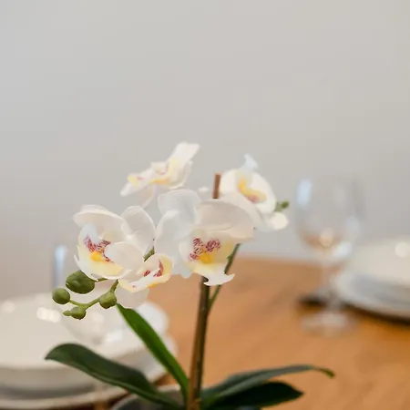 Apartment Myflat Wave Beach54 Siófok